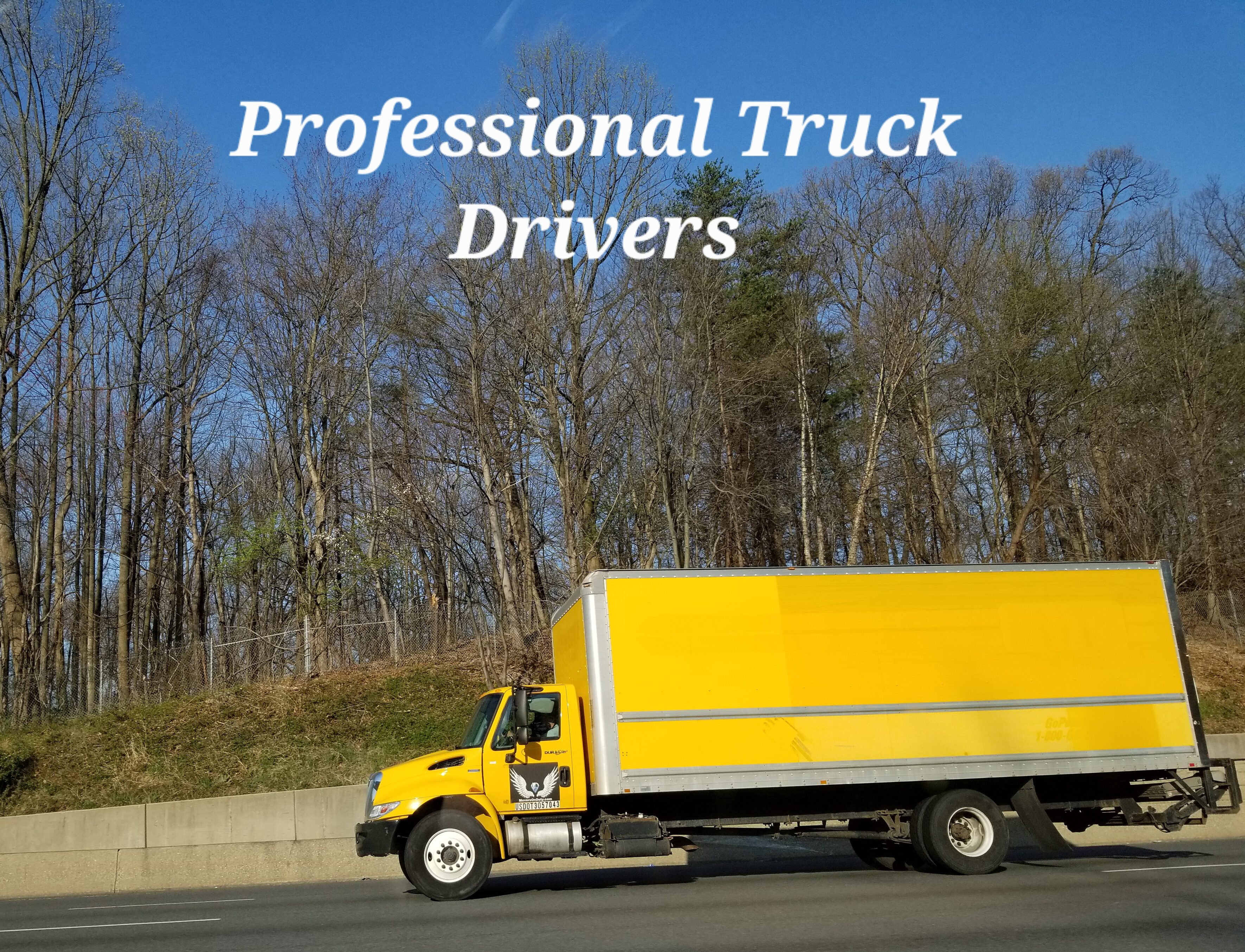 anne arundel maryland movers