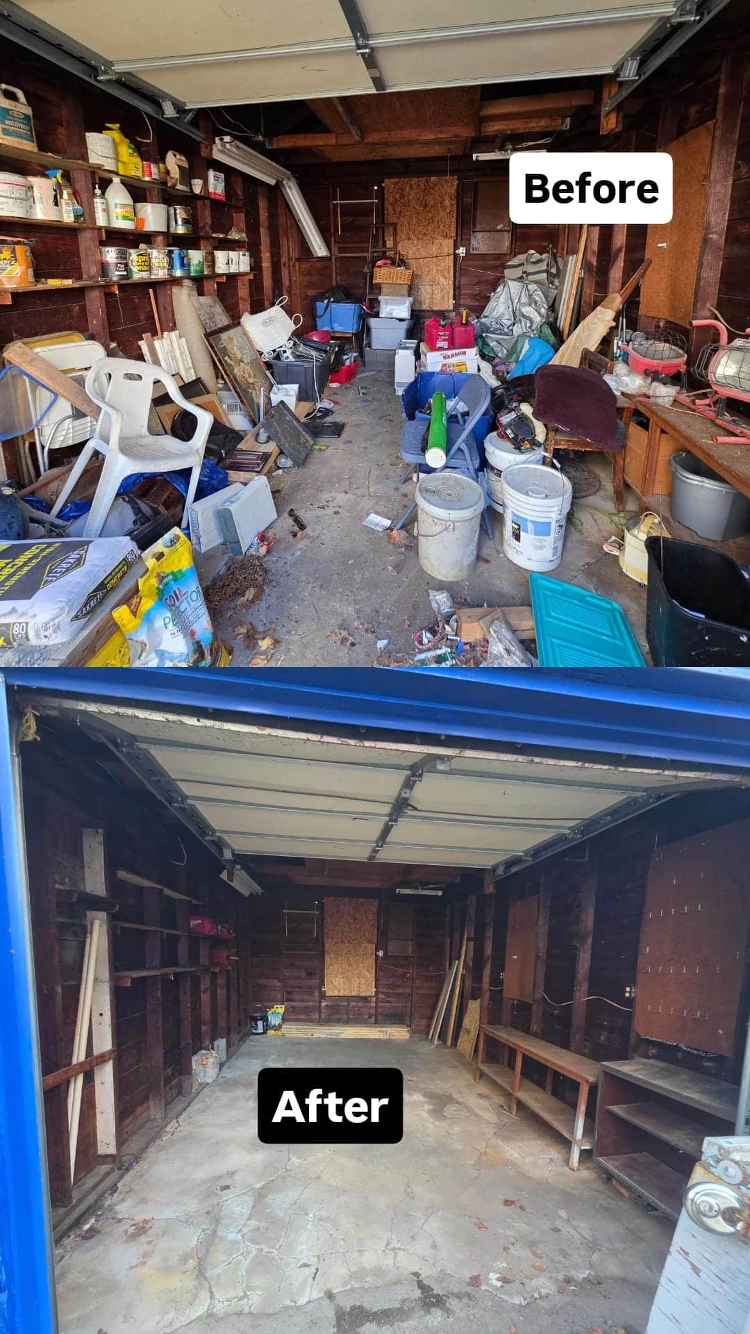junk removal companies